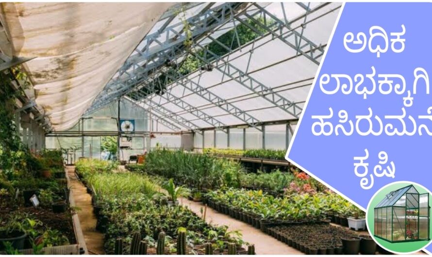 “ಹಸಿರುಮನೆ ಕೃಷಿ: ಪ್ರಯೋಜನಗಳು ಹಾಗು  ಅನುದಾನಗಳ ವಿವರ”